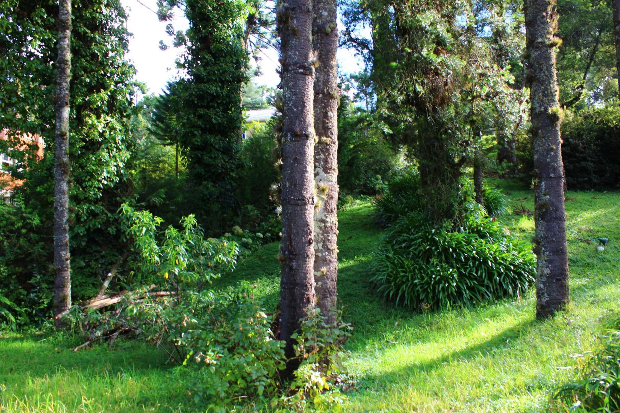 Chale Mon Amour 3 Campos do Jordão Εξωτερικό φωτογραφία